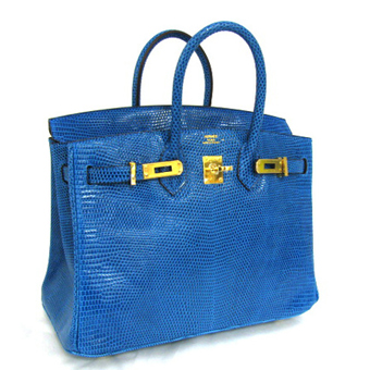 HERMES エルメス バーキン25 スーパーコピー ハンドバッグ ミコニス リザード Birkin 019